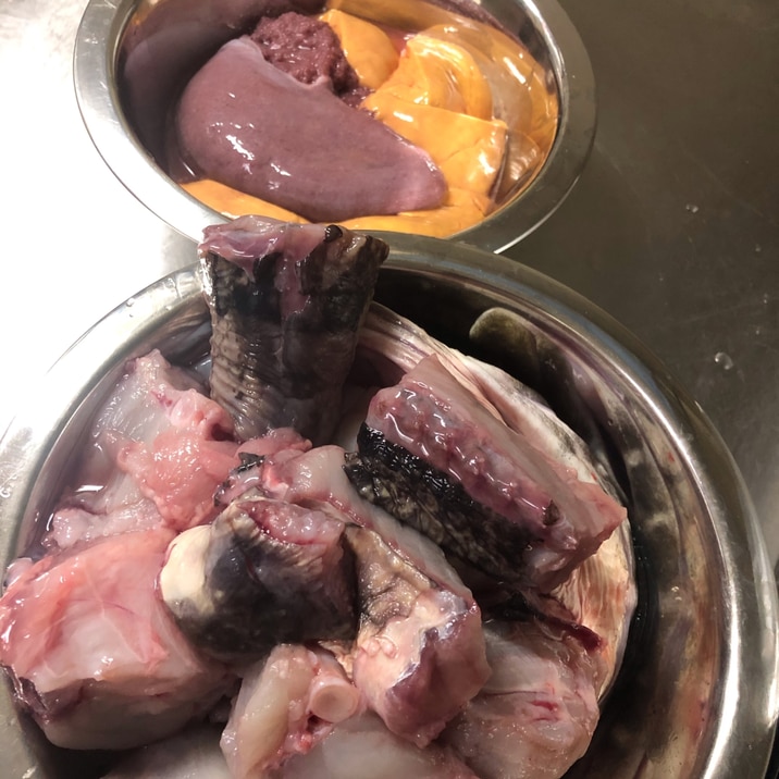 魚の捌き方 カジカ編 鍋にぴったりの北海道の魚 レシピ 作り方 By りゆうの最北投資ブログ運営中 楽天レシピ 魚の捌き方 カジカ編 鍋にぴったりの北海道の魚 レシピ 作り方 By りゆうの最北投資ブログ運営中 楽天レシピ